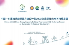 “中国—东盟清洁能源能力建设计划” ⸺2022交流项目线上研讨部分